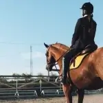 Esportes com cavalo