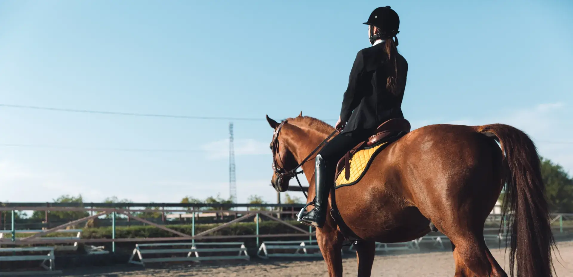 Esportes com cavalo