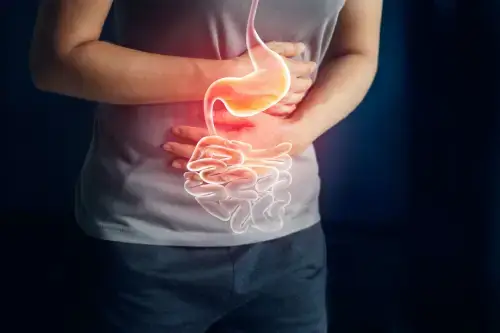 Representação do sistema digestivo